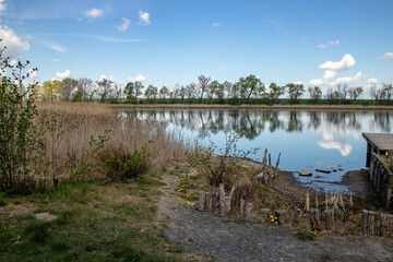 View from the wild shore at the lakes Lübschützer Teichen in the Muldental near Leipzig and...