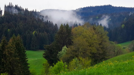 Fototapeta na wymiar Meadow and hill with scenic landscape and colorful trees with fog