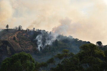 Fototapeta premium fire in the mountain