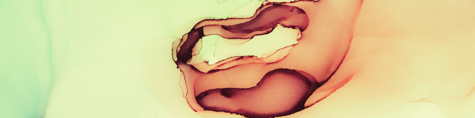 Transparent Splash.  Translucent Multicolor