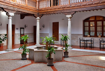 Fototapeta na wymiar Traditional patio in southern Spain