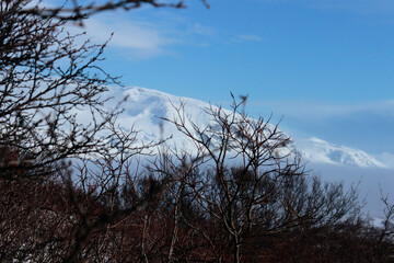 Snow