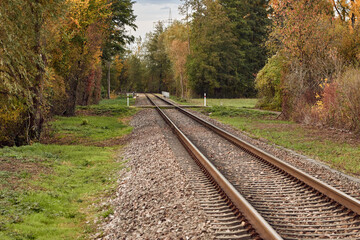 Fototapeta na wymiar Railway track in autumn landscape surrounded by a forest