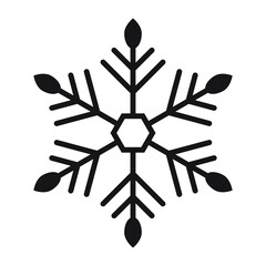 Snowflake icon vector isolated symbol.