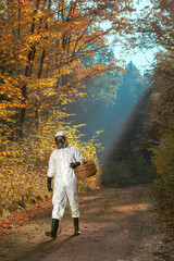 How to walk and pick mushrooms in the forest during a pandemic covid-19? A man walking in the forest in a protective suit and a gas mask. He is holding a wicker basket in his hand.