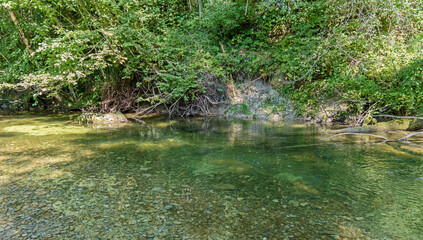 Grünes Wasser im Eistobel, Allgäu
