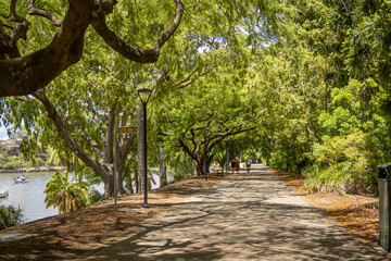 Brisbane City, South Bank, Queensland, Australia