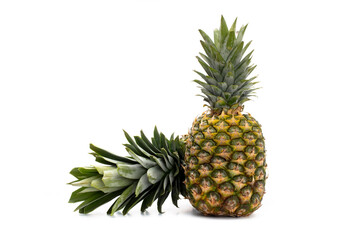 Fototapeta premium Ananas isolated on a white background.