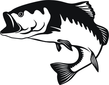 Download 439 Best Fishing Vector Images Stock Photos Vectors Adobe Stock