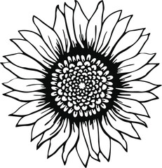 sunflower svg,sunflower clipart,sunflower cut file,sunflower vector,sunflower png,sunflower shirt,sunflower svg file,sunflower print
