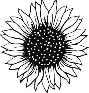 Free Free Sunflower Vector Svg 637 SVG PNG EPS DXF File