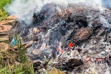 Burning tree bark. Outdoor fireplace. Disposal of bark beetles. Work on the farm. Burning fire.