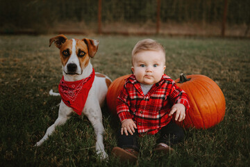 Baby Boy sitting with Fall Pumpkins and Dog