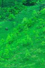 狭霧台から見る草原