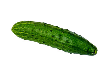 Ripe cucumber isolated on the white background
