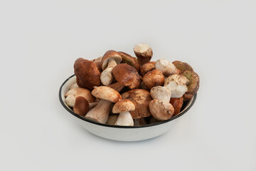 Beautiful fresh porcini mushrooms  in metal basin on white background isolated season healthy food 