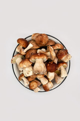 Beautiful fresh porcini mushrooms  in metal basin on white background isolated season healthy food 