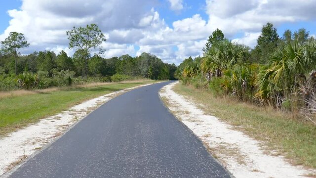 A biking  trail in a sunny day in Florida. Taken in Flatwood park in Tampa. Florida