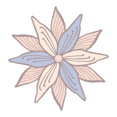 Blue rose or white flower, spring flower isolated in pastel colors. Isolated on a white background. Greeting wedding card design decoration, blue pouring, white petals. Delicate flower for brand