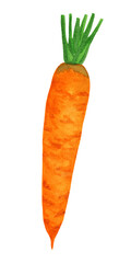 Watercolor nice carrot with halm isolated on white background. Side view vegetable illustration. Organic food from the garden. Carrot logo.