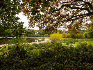 &lsquo;Brown Moss&rsquo; in Whitchurch, Shropshire, is a 77-acre wildlife and nature reserve, conservation site and a Ramsar wetland of international scientific importance.