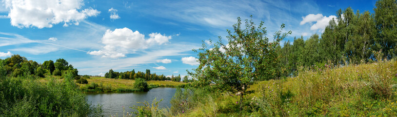 Sunny summer landscape with wild apple tree growing on the bank of lake.
