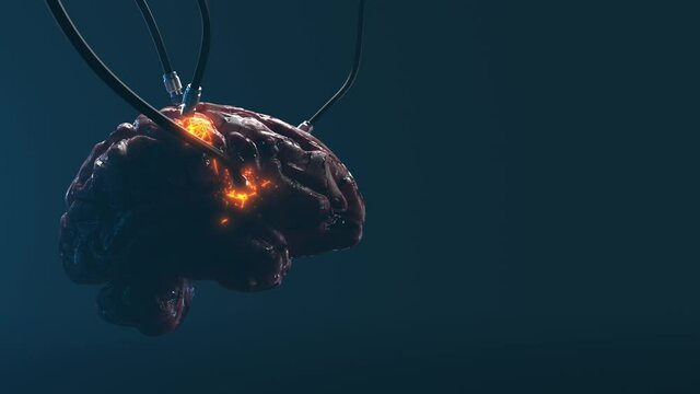 Artificial Intelligence. image of the brain with different dachiks connected to it transmitting or receiving data signals
