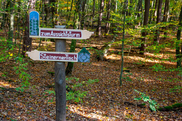 Old weathered sign on a tree trunk in the forest.