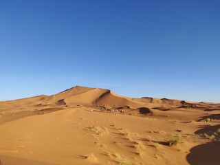 Fototapeta na wymiar Dünen in der Wüste von Marokko