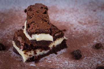 Chocolate brownie with milk powder delicious filling. Closeup photography.