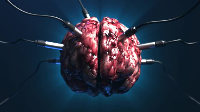 Artificial Intelligence. frontal image of the brain with different dachiks connected to it transmitting or receiving data signals.