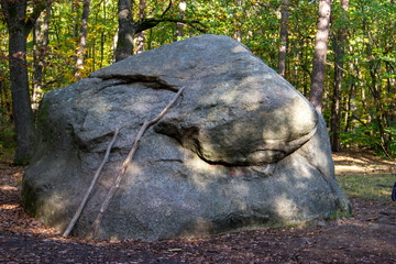 Obraz premium A huge split stone in the forest.