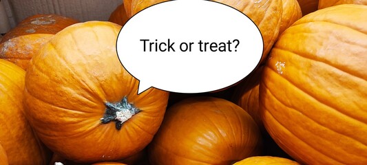 pumpkins and gourds - trick and treat