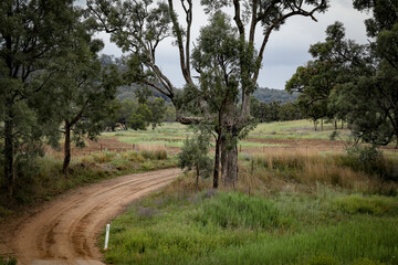 Fototapeta na wymiar Dirt road through country property in New South Wales, Australia