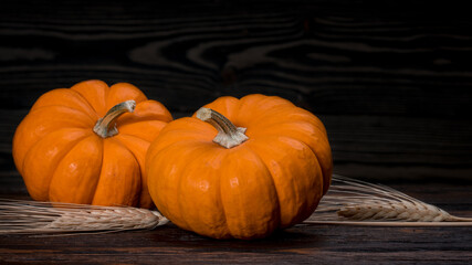 Pumpkins and spikelets on natural wooden background. Happy Thanksgiving day. Autumn still-life.