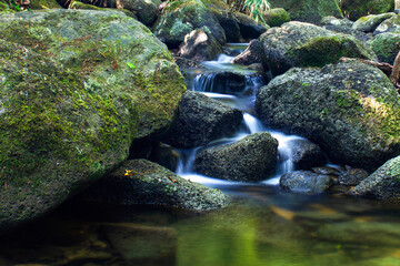 green moss on the rocks