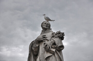a seagull standing on a sculpture in the Charles bridge in Prague