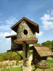 The bird's nest in nature and the weather is sunny
