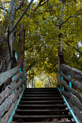 Stairway to heaven. Garden stairs in nature bakcground. Walkway to the garden, upstairs between the trees. 