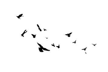 A flock of flying birds. Vector illustration