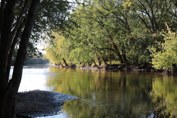 Obraz premium A river in the woods in fall season.