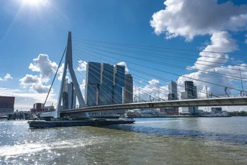 Fotobehang Erasmus Bridge in Rotterdam on the Nieuve-Maas River, Rotterdam, Netherlands © Tjeerd