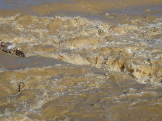 京都嵐山桂川の洪水災害