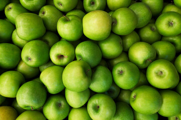 Green apples background. Beautiful green apples at the market