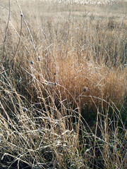 Fototapeta premium Yellow Autumn Mountainscape. Brown Summer Season. Green Autumn Canva. Golden Natural View. Forest Landscape. Gold Glorious Waterfall. Autumn Rainforest. Abstract Background.
