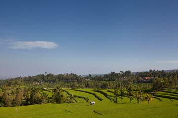 Beautiful landscape with green rice terraces, Bali, Indonesia. Unesco world site