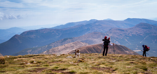 Fototapeta premium Two Men and a dog are traveling along mountain routes. Travel and campaign concept.