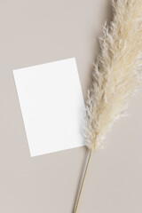 White invitation card mockup with a pampas grass decoration. 5x7 ratio, similar to A6, A5.