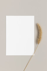 White invitation card mockup with a dried  branch. 5x7 ratio, similar to A6, A5.