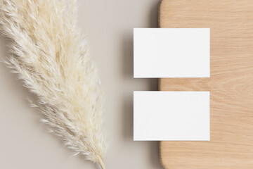 Two white business cards mockup with a pampas grass decoration. 85x55mm